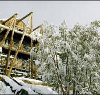 Silverski - Accommodation Nelson Bay