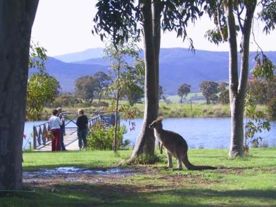 Wombat Hills Cottages - Accommodation Nelson Bay 4
