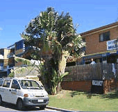 Melaluka And Costa Bella Luxury Apartments - Accommodation Nelson Bay