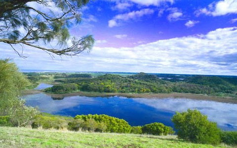 Killara Accommodation - Accommodation Nelson Bay 6