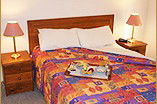 Homestead Motor Inn And Apartments - Accommodation Nelson Bay 0