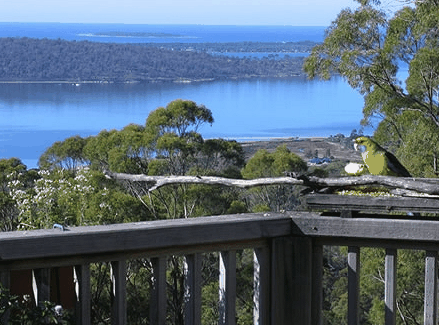 Bed in the Treetops - Accommodation Nelson Bay