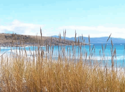 Four Mile Beach TAS Accommodation Nelson Bay