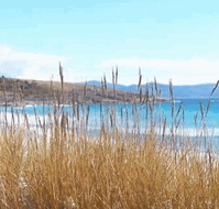 White Sands Estate - Accommodation Nelson Bay