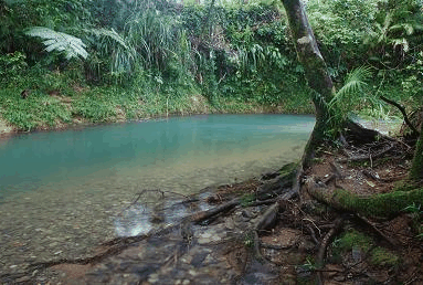 Heritage Lodge And Spa - Accommodation Nelson Bay
