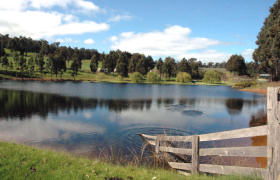 Glenlynn Cottages - Accommodation Nelson Bay 0
