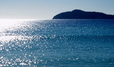 Jimmys Beach Holiday Park - Accommodation Nelson Bay 1