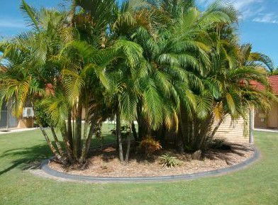 Yamba Motor Inn - Nelson Bay Accommodation.com 5