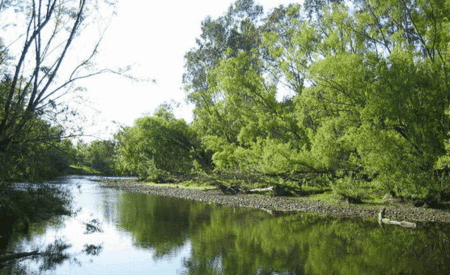 Ribbonwood Cottages - Accommodation Nelson Bay