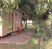 Carinya Cabins  Caravan Park - Accommodation Nelson Bay