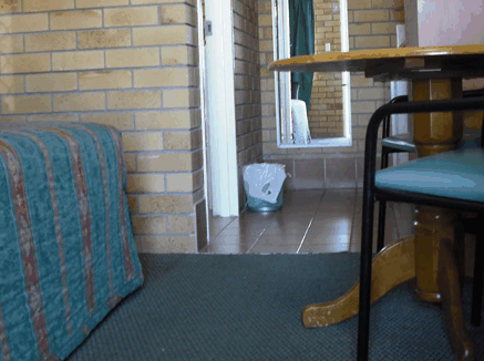Dragon  Phoenix Motel - Accommodation Nelson Bay