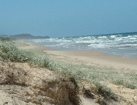 Beachcomber Peregian Beach - Accommodation Nelson Bay 4