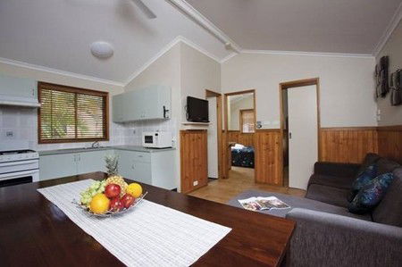 Blue Dolphin Resort & Holiday Park - Accommodation Nelson Bay 3