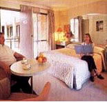 Sydney Palm Court Motor Inn - Accommodation Nelson Bay