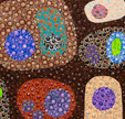 Turner Galleries - Accommodation Nelson Bay