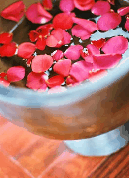 Ripple Brisbane Massage Day Spa And Beauty - Accommodation Nelson Bay 2