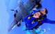 Simply Skydive - thumb 2