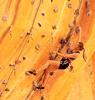 Rocksports Indoor Climbing - Accommodation Nelson Bay