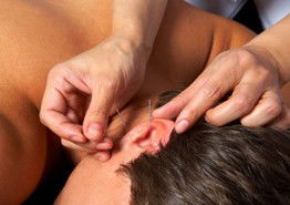 Melbourne Natural Wellness - Accommodation Nelson Bay 1
