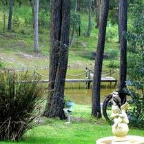 Gain Life Healing Health Retreat - Accommodation Nelson Bay 2