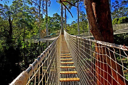 North Tamborine QLD Accommodation Nelson Bay