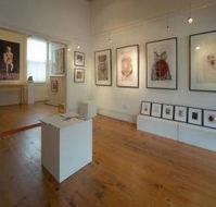 Bird's Gallery