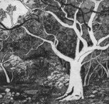 Tacit Contemporary Art - Accommodation Nelson Bay
