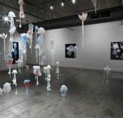 Nellie Castan Gallery - Accommodation Nelson Bay