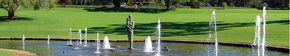 Kings Park Botanic Gardens - Accommodation Nelson Bay 3