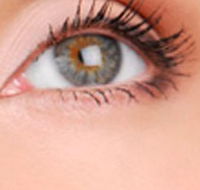 Cinnamon Stix Hair  Day Spa - Accommodation Nelson Bay