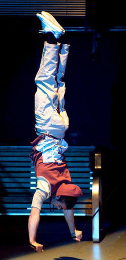 National Institute Of Circus Arts (NICA) - Accommodation Nelson Bay 3