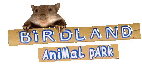 Birdland Animal Park - Accommodation Nelson Bay