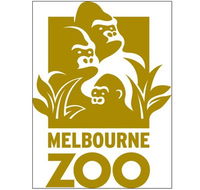 Melbourne Zoo - Accommodation Nelson Bay