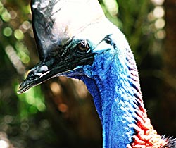 Alma Park Zoo - Accommodation Nelson Bay 0