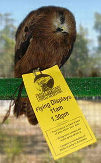 Eagles Heritage - Accommodation Nelson Bay 1