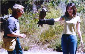 Eagles Heritage - Accommodation Nelson Bay 2