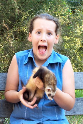 Peel Zoo - Accommodation Nelson Bay 1