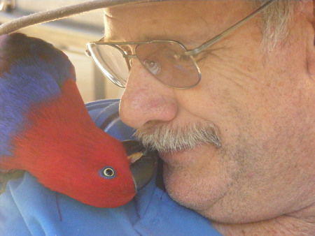 Peel Zoo - Accommodation Nelson Bay 3