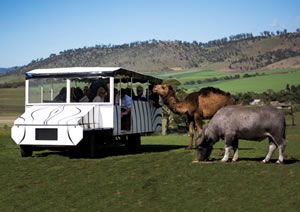Zoo Doo Wildlife Park - Accommodation Nelson Bay 2