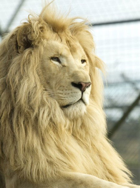 Zoo Doo Wildlife Park - Accommodation Nelson Bay 3