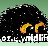 OZe Wildlife - Accommodation Nelson Bay