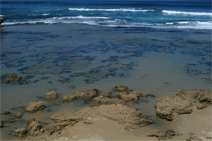 Canberra Contemporary Art Space - Accommodation Nelson Bay