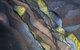 ArtSpace Mackay - thumb 1