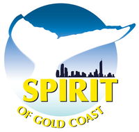 Spirit of Gold Coast Whale Watching - Accommodation Nelson Bay