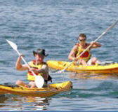 Manly Kayaks - Accommodation Nelson Bay