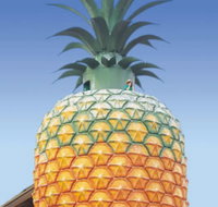 The Big Pineapple - Accommodation Nelson Bay