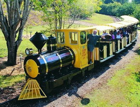 The Big Pineapple - Accommodation Nelson Bay 1