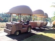 The Big Pineapple - Accommodation Nelson Bay 2