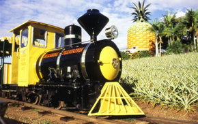 The Big Pineapple - Accommodation Nelson Bay 3