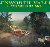 Glenworth Valley Horseriding - Accommodation Nelson Bay